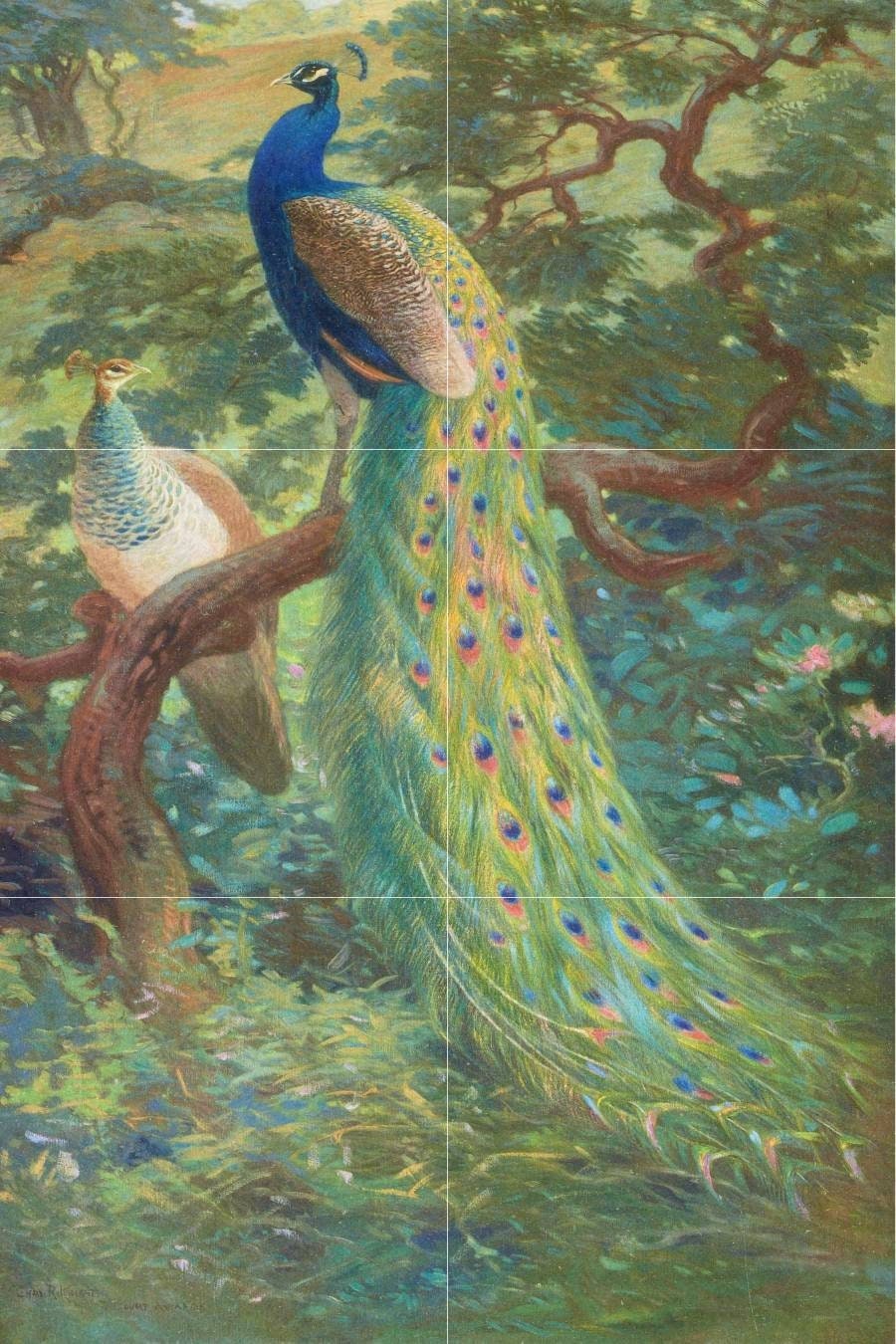Tile Mural/Mosaic Ceramic Panel of Indian Peafowl - Charles Robert Knight - Bird Wall Art Decor - Peacock Mural - Gloss Tiles - Tile Mosaic