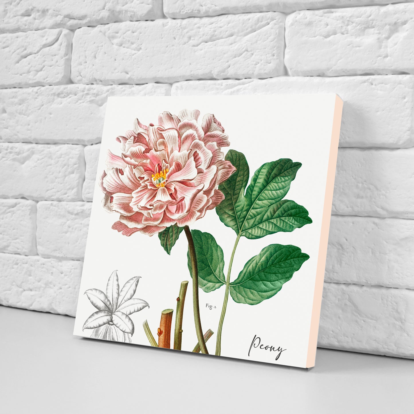 Vintage Botanical Print Ceramic Tiles - Set of 3 Ceramic Decor Tiles - Kitchen Backsplash Tiles, Bathroom Tiles, Botanical wall art
