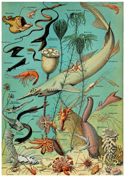 Adolphe Millot Murals/Mosaics