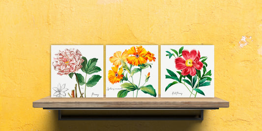 Vintage Botanical Print Ceramic Tiles - Set of 3 Ceramic Decor Tiles - Kitchen Backsplash Tiles, Bathroom Tiles, Botanical wall art