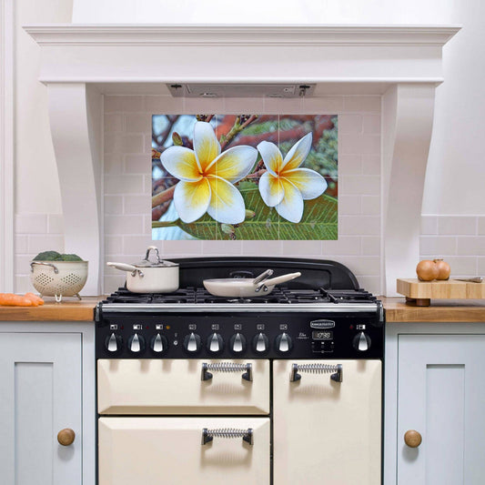 Frangipani Flower Tile Mural: Gloss Ceramic Mosaic Panel