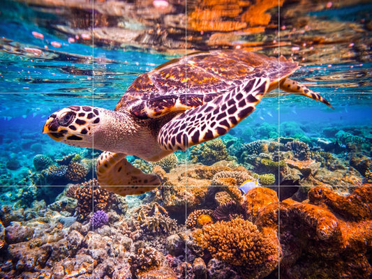 Tile Mural/Mosaic Ceramic Panel of an Ocean Undersea Sea Turtle - Sea Turtle wall print - Sea Turtle Tile Mural - Gloss Tiles - Tile Mosaic