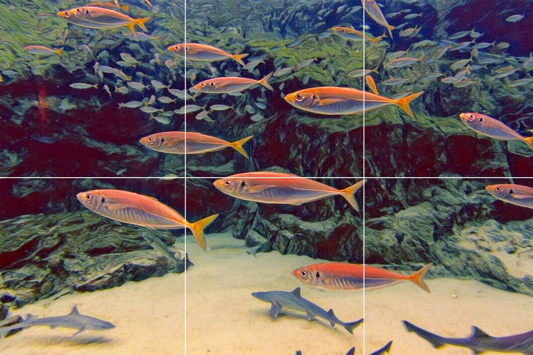 Tile Mural/Mosaic Ceramic Panel of an Ocean Fish Underwater World - Fishes Wall Art - Tile Mural Art Print - Home Decor - Tile Mosaic