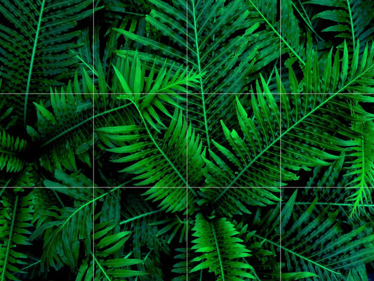 Tile Mural/Mosaic Ceramic Panel of Tropical Leaves Art - Plant Home Decor - Tile Mural - Nature Wall Print- Gloss Tiles - Leaf Tile Mosaic