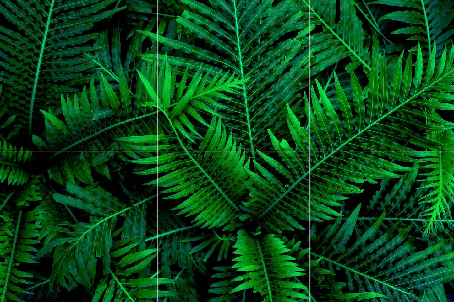 Tile Mural/Mosaic Ceramic Panel of Tropical Leaves Art - Plant Home Decor - Tile Mural - Nature Wall Print- Gloss Tiles - Leaf Tile Mosaic