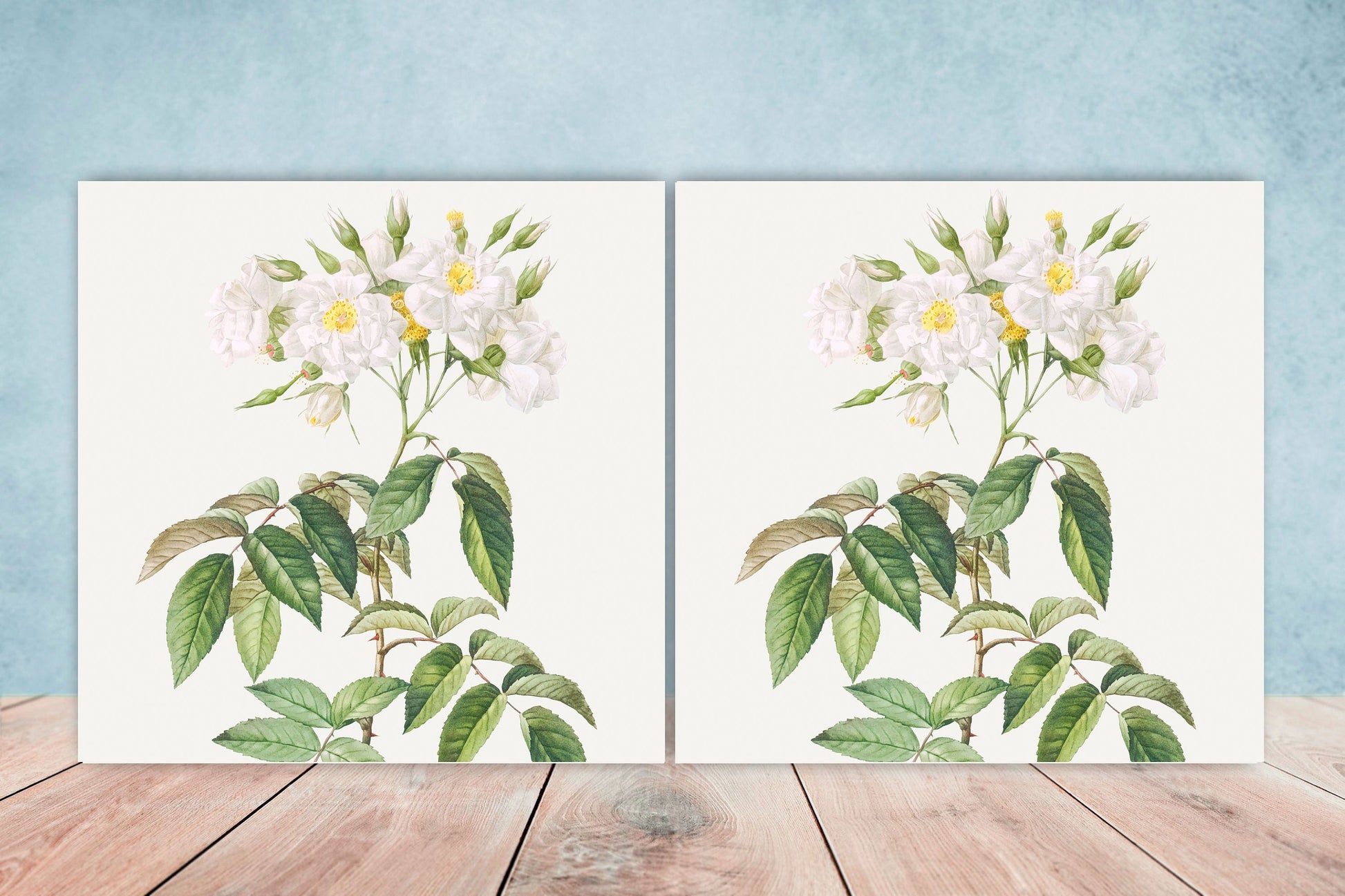 Floral Design Tile Musk Roses - Set of 2 Floral Wall Décor Ceramic Tiles - Kitchen Backsplash Tiles, Table Decorative Tiles, Bathroom Tiles