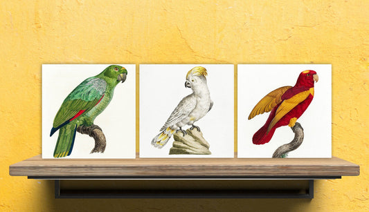 Parrots vintage illustration Set of 3 Ceramic tiles,Ceramic Decor Tiles,Kitchen Backsplash , Bathroom Tiles, Vintage illustration wall art
