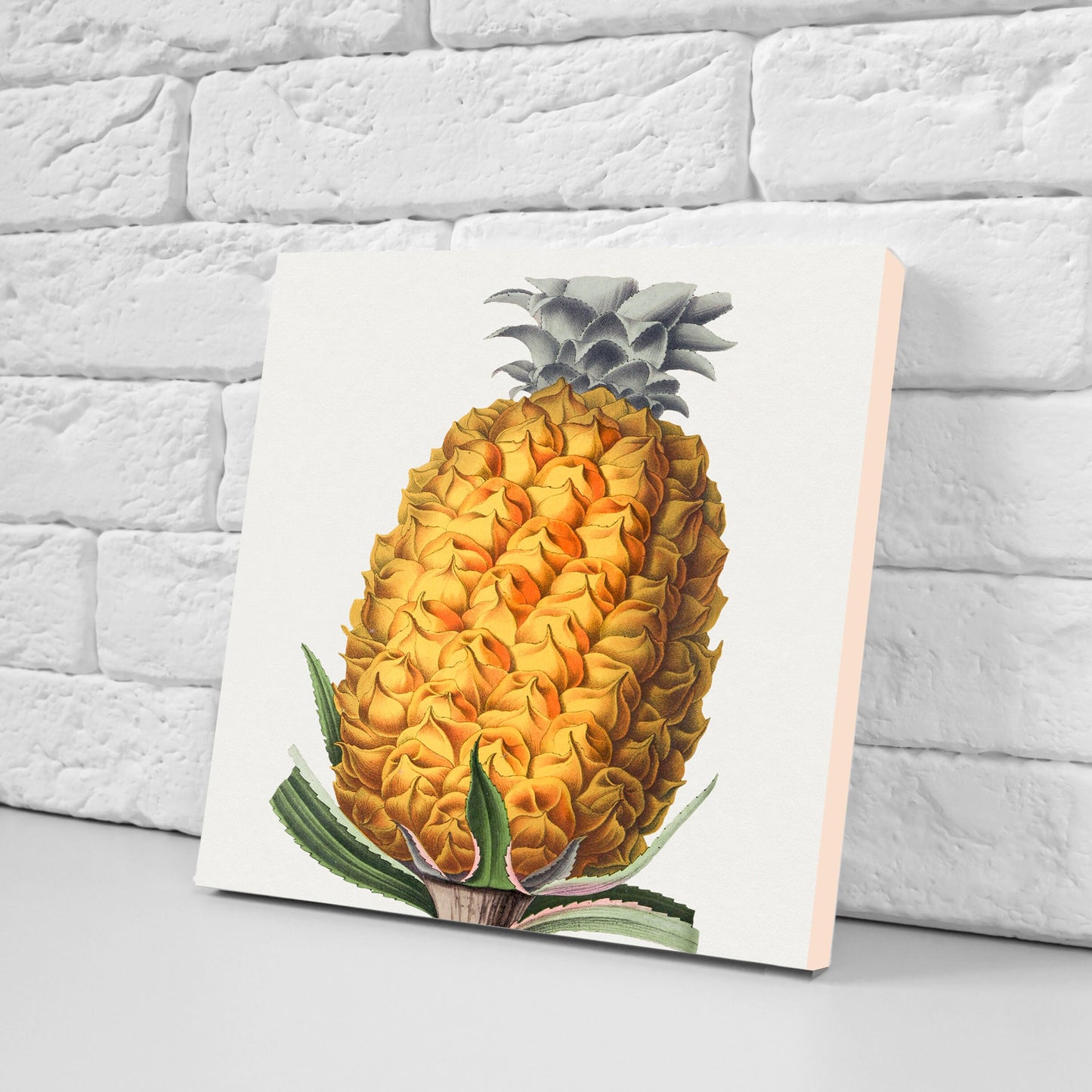 Vintage Fruit Print Ceramic Tiles - Set of 3 Ceramic Decor Tiles - Kitchen Backsplash Tiles, Bathroom Tiles, Fruit illustration print