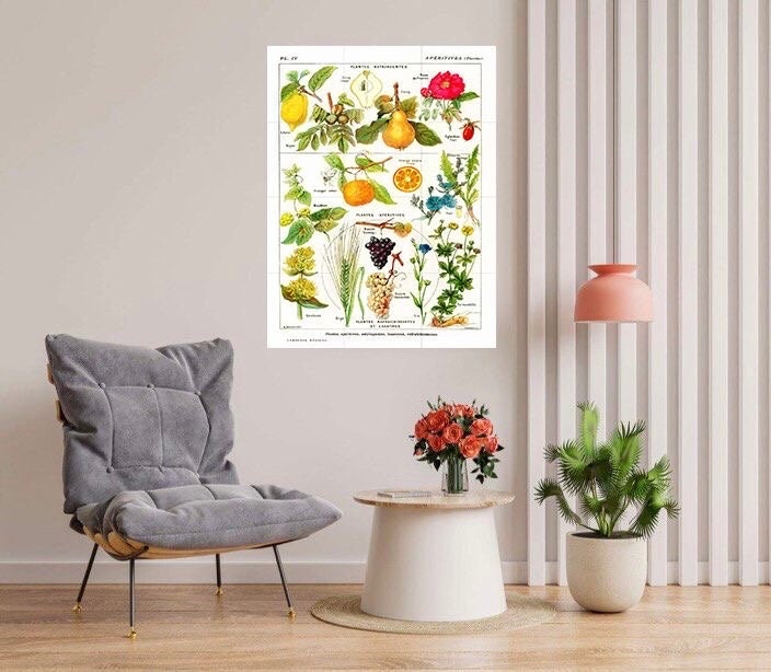 Vintage Fruit Illustration Tile Mural: Larousse Botanical Art