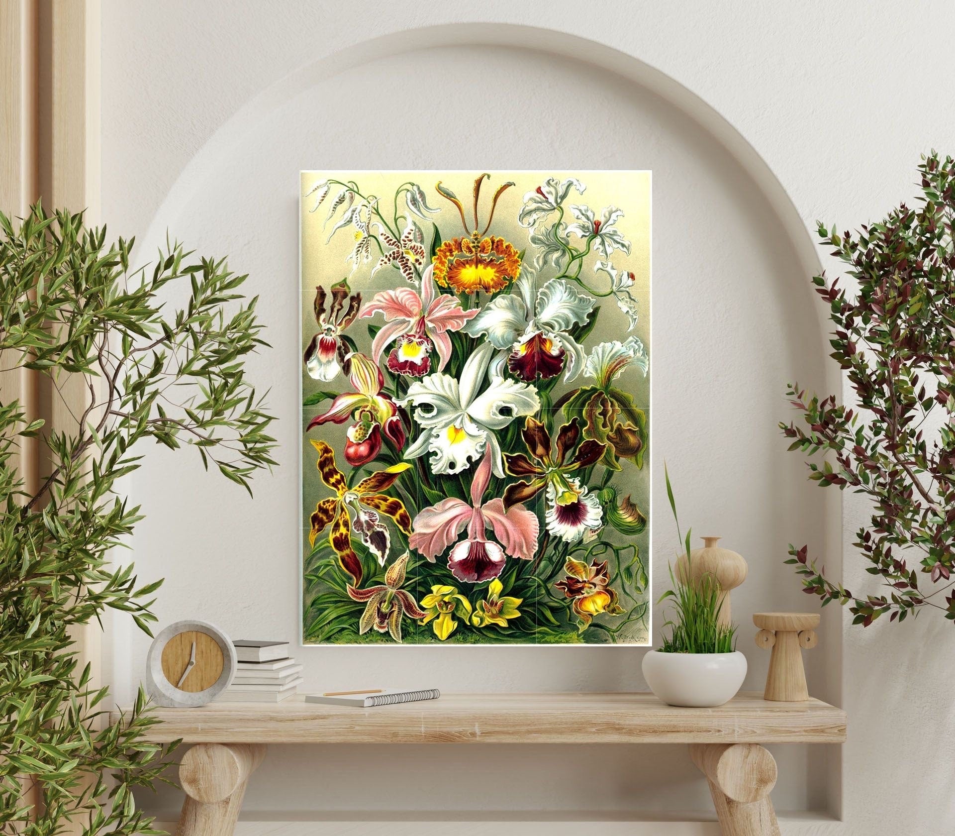 Tile Mural/Mosaic Ceramic Panel of Orchids - Flowers - Vintage Botanical Print - Ernst Haeckel Print Vintage Illustration - Flower Mural