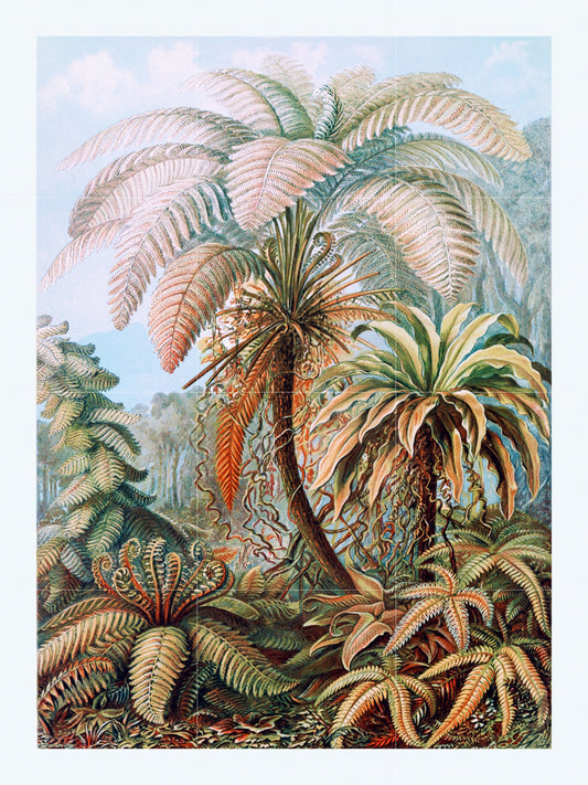 Tile Mural/Mosaic Ceramic Panel of Ferns-Filicinae Ernst Haeckel Botanical Print- Ernst Haeckel Print- Vintage Botanical Print - Floral Art