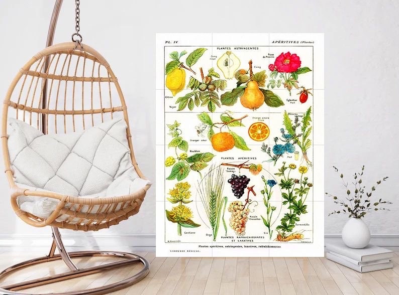 Vintage Fruit Illustration Tile Mural: Larousse Botanical Art