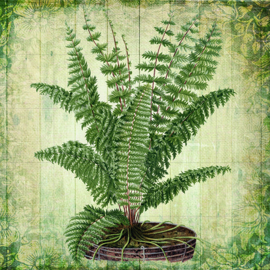 Tile Mural/Mosaic Ceramic of Fern - Nature Print - Botanical Wall Art - Plant Print - Fern Mural - Gloss Tiles - Botanical Print - Plant Art
