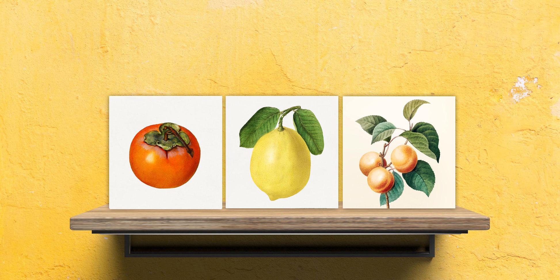 Vintage Fruit Print Ceramic Tiles - Set of 3 Ceramic Decor Tiles - Kitchen Backsplash Tiles, Bathroom Tiles, Fruit illustration print