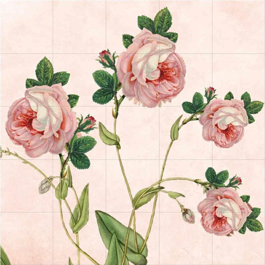 Roses Watercolor Painting Tile Mural: Floral Wall Art Botanical Home Decor